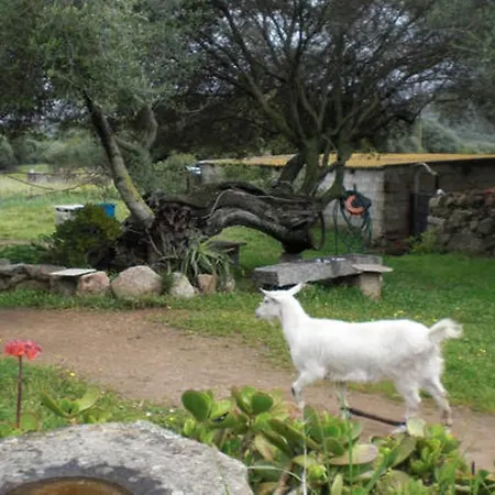 Stazzu Lu Malchesi Arzachena
